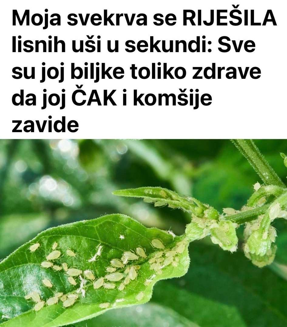 .-lčćž