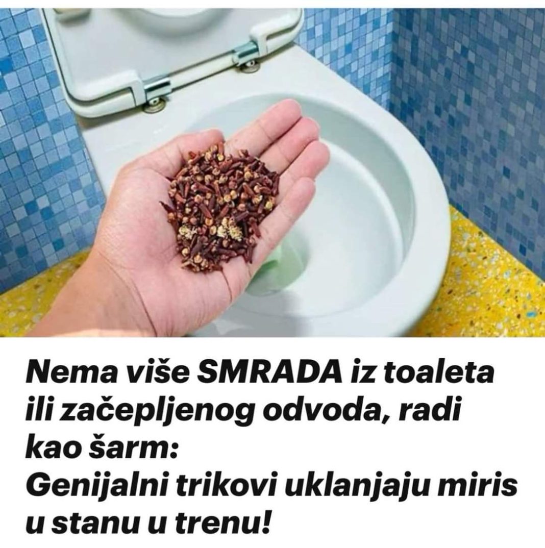 FB_IMG_1720423697009