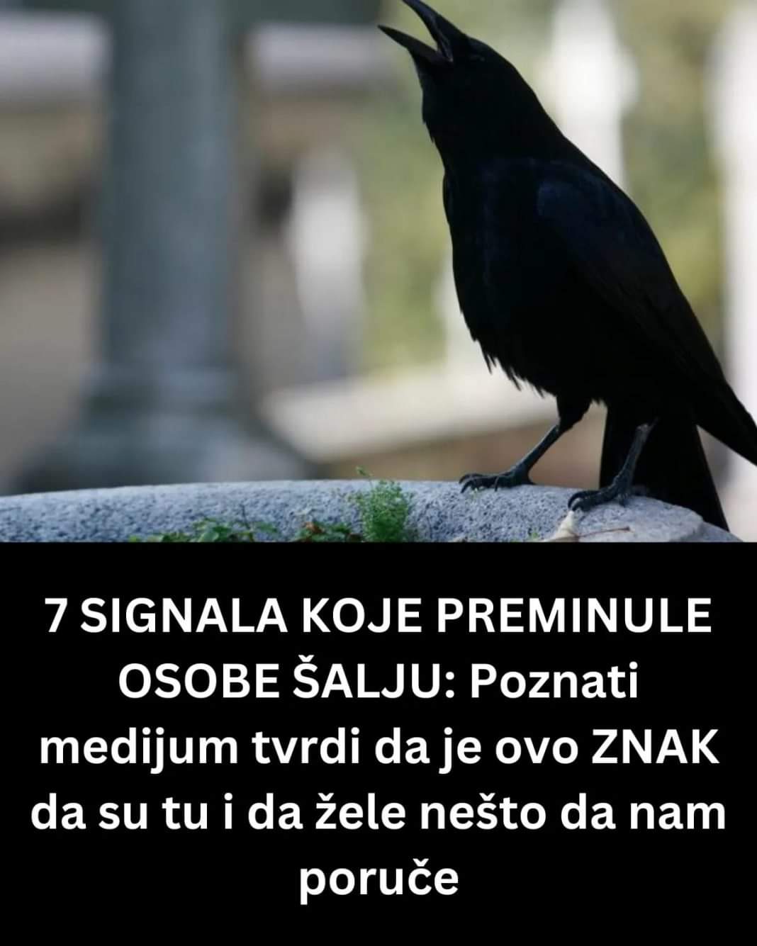 FB_IMG_1723275981686