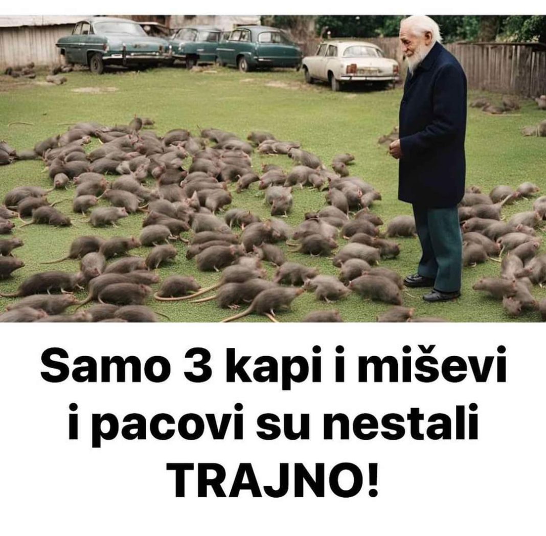 FB_IMG_1724572117991