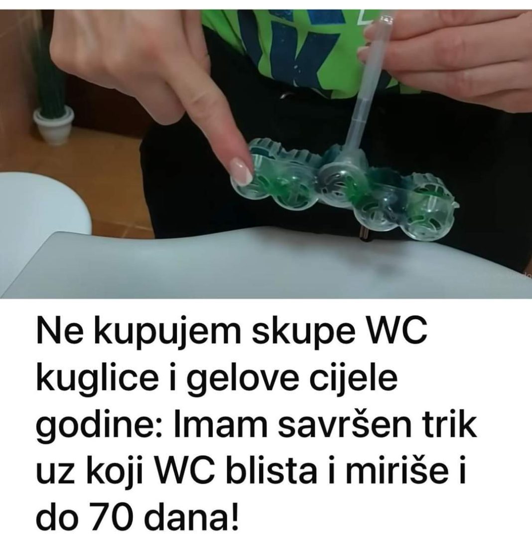 FB_IMG_1724587132454