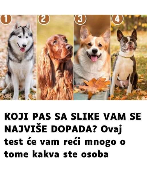 FB_IMG_1728312856308