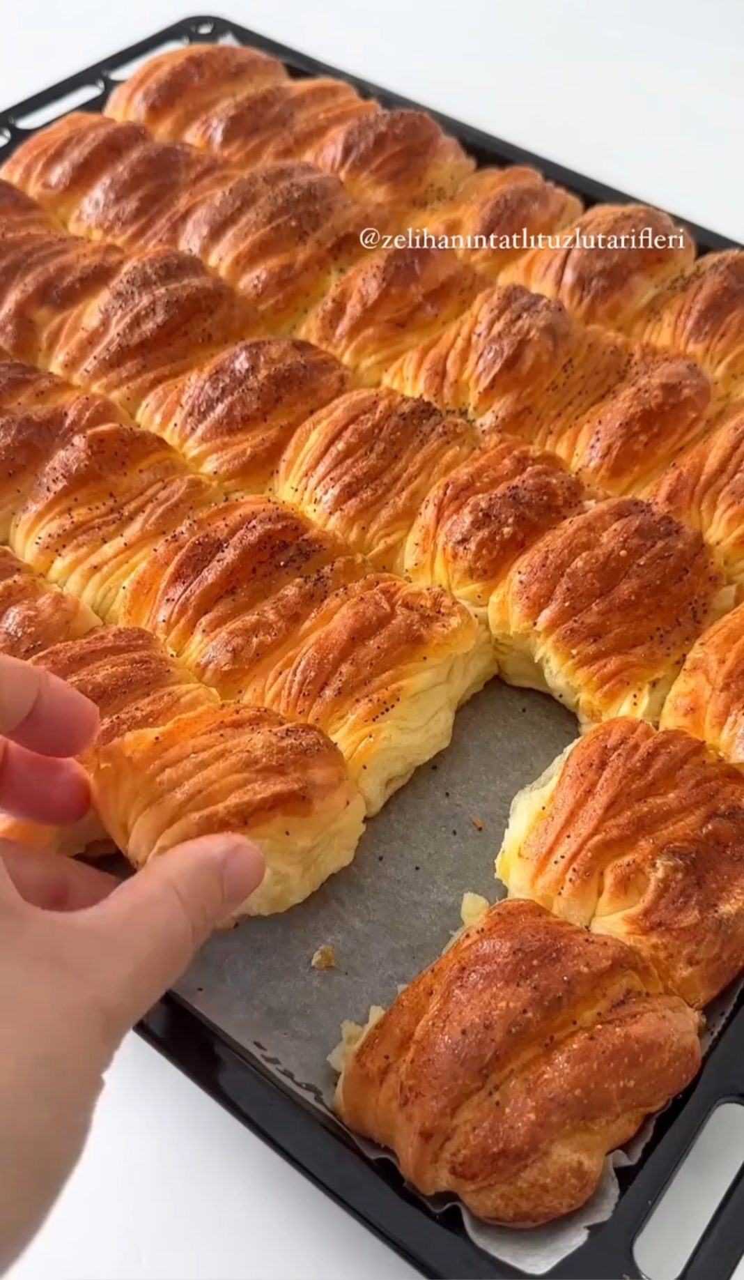 Screenshot_20241005-083821_Gallery