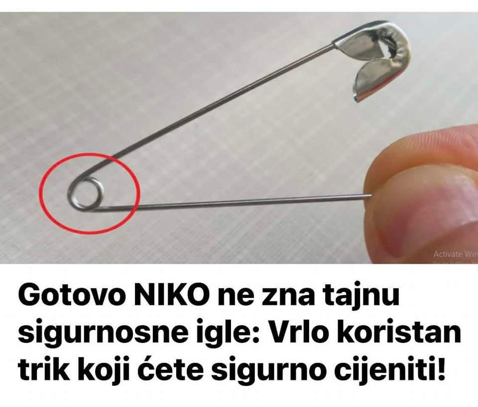 FB_IMG_1731495464522