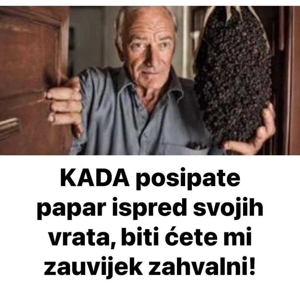 FB_IMG_1731583546486