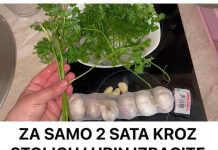 ZA SAMO 2 SATA KROZ STOLICU I URIN IZBACITE SVE STO SMETA ZDRAVOM ORGANIZMU! Univerzalni LIJEK!