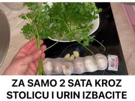 ZA SAMO 2 SATA KROZ STOLICU I URIN IZBACITE SVE STO SMETA ZDRAVOM ORGANIZMU! Univerzalni LIJEK!