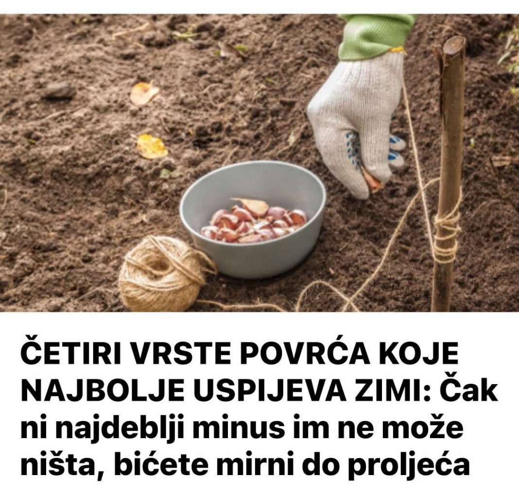 nhklč