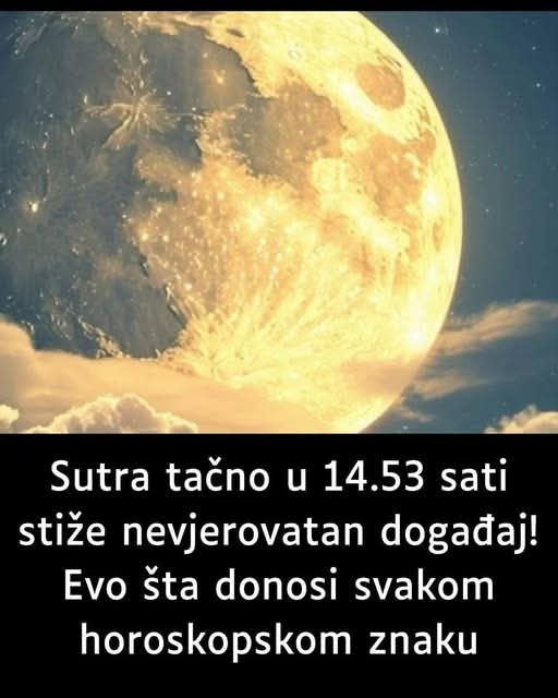 FB_IMG_1739306957358