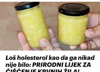 Loš holesterol kao da ga nikad nije bilo: PRIRODNI LIJEK ZA ČIŠĆENJE KRVNIH ŽILA!