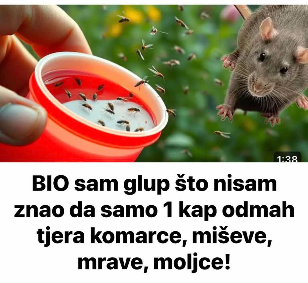 FB_IMG_1748155425056