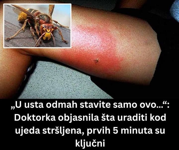 FB_IMG_1750244824206