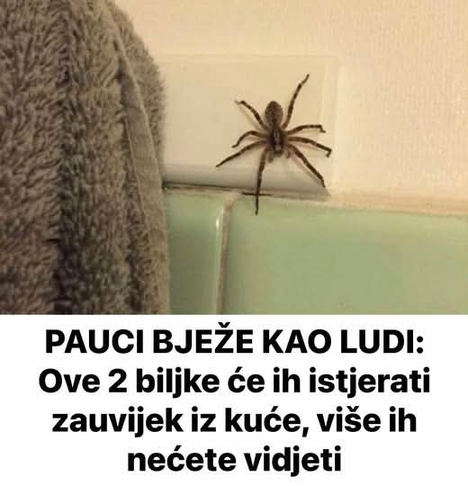 FB_IMG_1750313509763