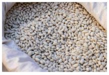 Nikada nemojte namakati grah u vodi prije kuhanja: umjesto toga upotrijebite samo ovu namirnicu