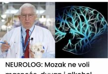 Kao neurolog, važno je napomenuti da mozak ima averziju prema masti, duhanu i alkoholu.