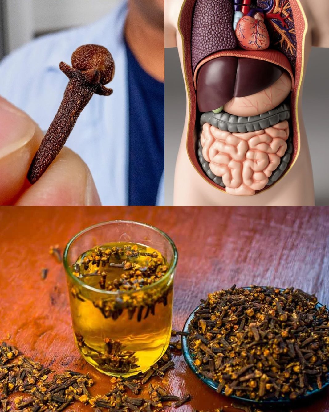 517404928_1278611030491765_3676416762540143251_n