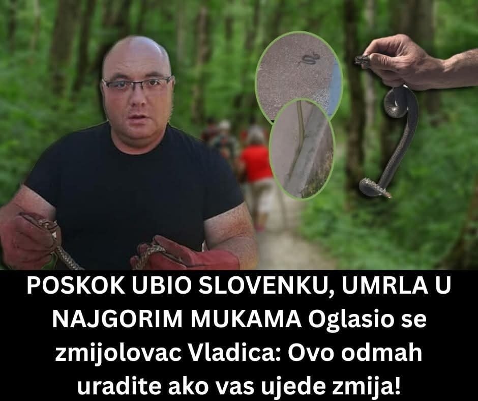 Messenger_creation_92F1EAEA-7BB7-4764-9183-AD1E903A8852