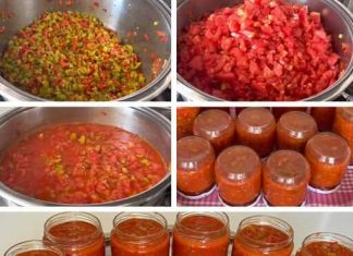 LJUTENICA: FANTASTIČNA LJUTA SALATA ZA SVE GURMANE!