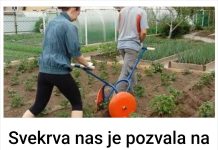 Svekrva nas je pozvala na vikendicu da sredimo.