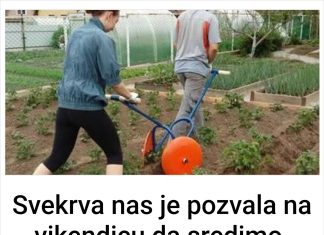 Svekrva nas je pozvala na vikendicu da sredimo.