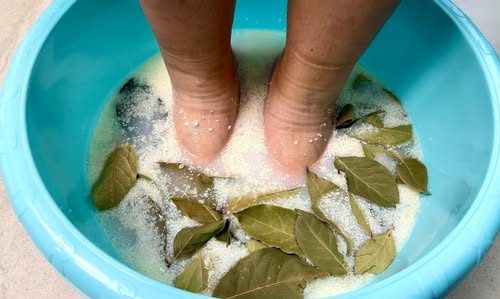 JAČE OD BIJELOG LUKA I LIMUNA : Lovorov list u kupki za stopala uklanja toksine i bakterije 🌿🦶 - featured image JAČE OD BIJELOG LUKA I LIMUNA : Lovorov list u kupki za stopala uklanja toksine i bakterije 🌿🦶 - featured image