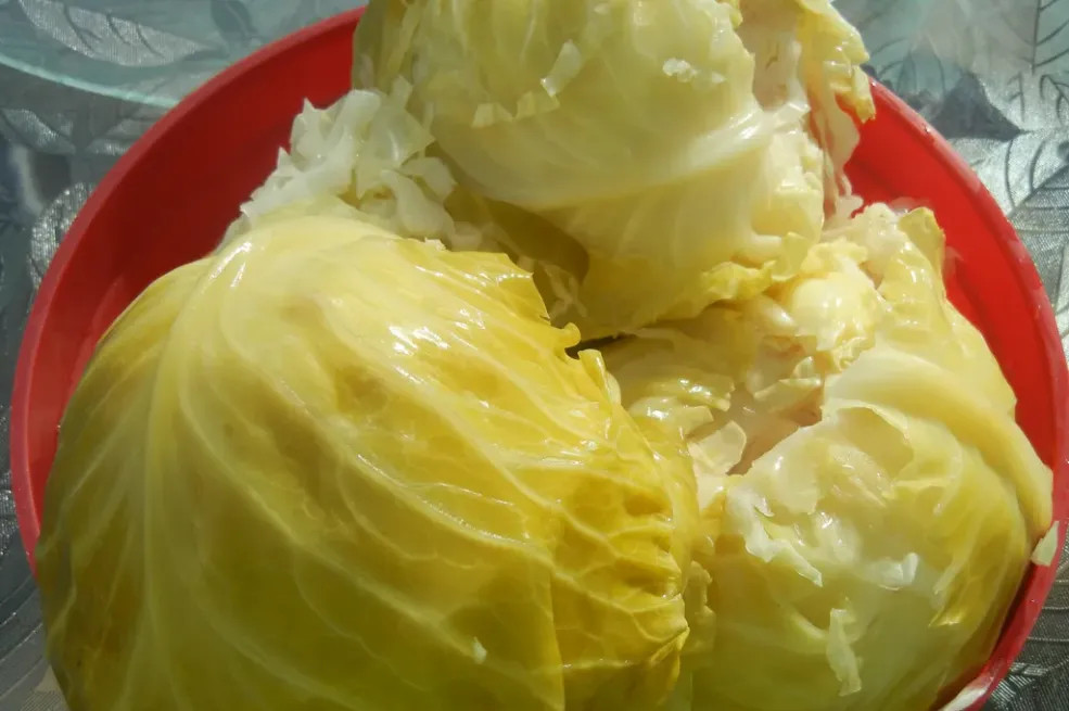 GRKINJA JE DVIJE GODINE SVAKI DAN JELA KISELI KUPUS: Otišla da IZVADI KRV, evo šta je saznala - featured image GRKINJA JE DVIJE GODINE SVAKI DAN JELA KISELI KUPUS: Otišla da IZVADI KRV, evo šta je saznala - featured image