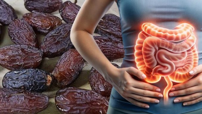 Crijeva kriju više otrova nego što mislite – Evo kako da ih očistite uz samo dva sastojka! - featured image Crijeva kriju više otrova nego što mislite – Evo kako da ih očistite uz samo dva sastojka! - featured image