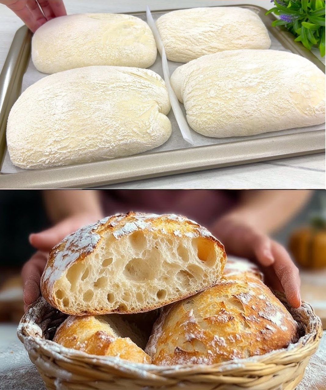 Dobijte SAVRŠENI italijanski hljeb za 1 sat bez mijesenja! - featured image Dobijte SAVRŠENI italijanski hljeb za 1 sat bez mijesenja! - featured image