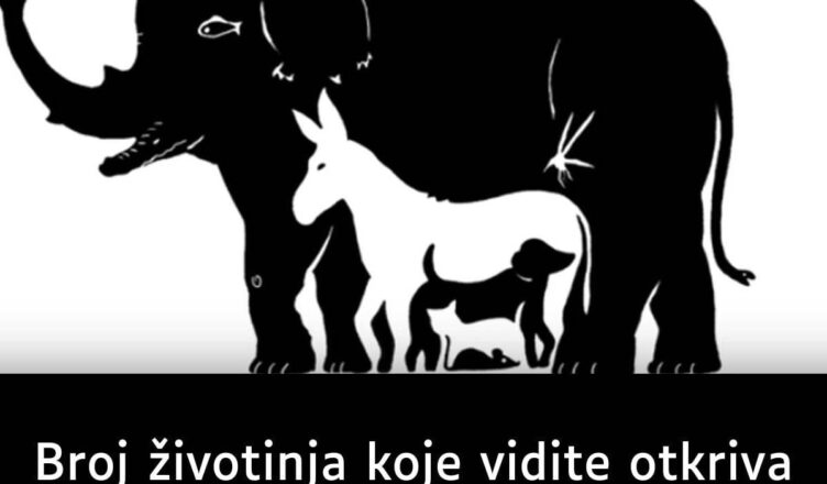 Recipes-Advices - featured image Recipes-Advices - featured image