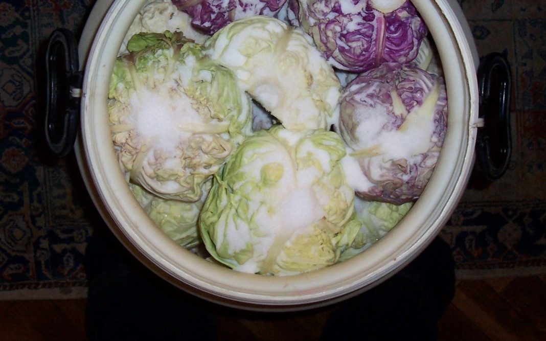 Samo ovo je prava količina za pravi rasol, evo koliko soli ide u 10 l vode za kiseli kupus - featured image