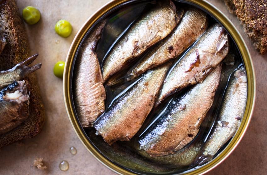 Jedite sardine što češće, i živećete dugo i bez bolesti: Evo zašto! - featured image Jedite sardine što češće, i živećete dugo i bez bolesti: Evo zašto! - featured image