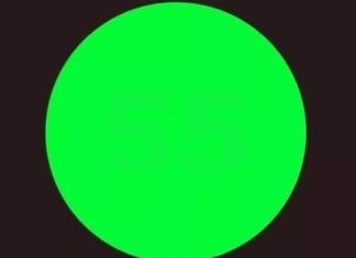 Svi vide zeleni krug, ali samo oni sa visokim IQ mogu pronaći i skriveni broj u roku od 7 sekundi Svi vide zeleni krug, ali samo oni sa visokim IQ mogu pronaći i skriveni broj u roku od 7 sekundi - featured image