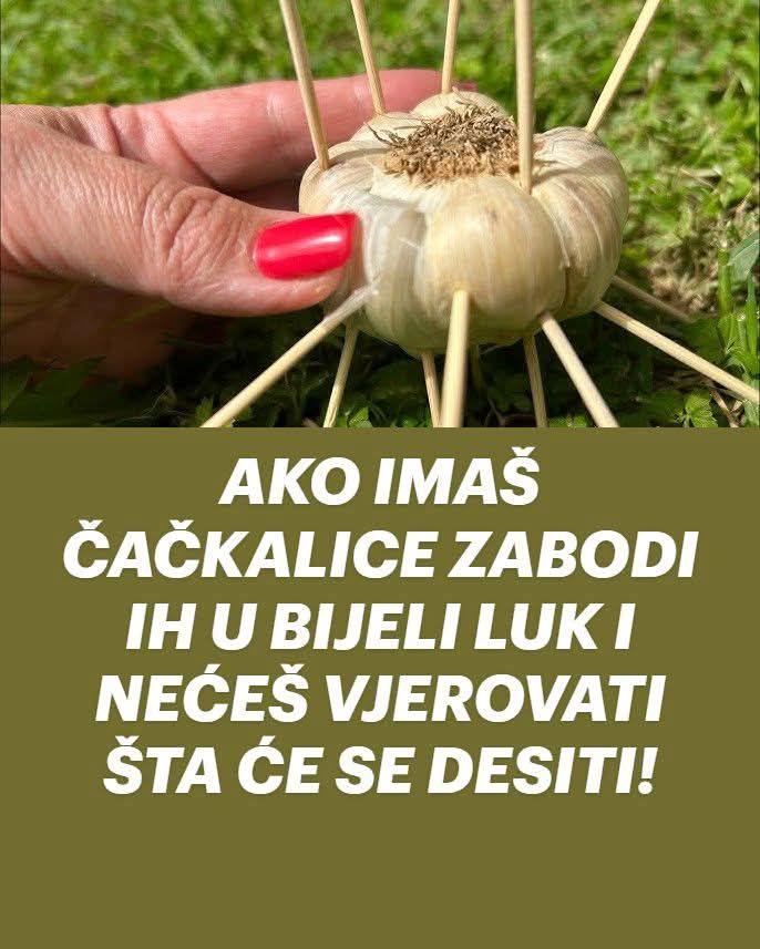 AKO IMAŠ ČAČKALICE ZABODI IH U BIJELI LUK I NEĆEŠ VJEROVATI ŠTA ĆE SE DESITI! - featured image AKO IMAŠ ČAČKALICE ZABODI IH U BIJELI LUK I NEĆEŠ VJEROVATI ŠTA ĆE SE DESITI! - featured image