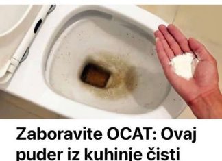 Zaboravite OCAT: Ovaj puder iz kuhinje čisti toalet za par minuta – bez kamenca, žutih mrlja i mirisa!