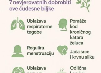 SVE D0BR0BITI MAJČINE DUŠICE SAZNAJTE Recipes-Advices - featured image