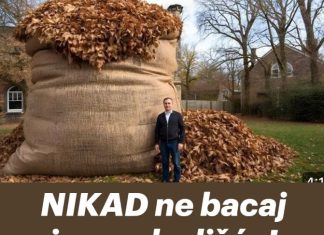 NIKAD ne bacaj jesensko lišće! Vrijedi više od zlata… NIKAD ne bacaj jesensko lišće! Vrijedi više od zlata… - featured image