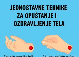 JEDN0STAVNE TEHNIKE ZA 0PUŠTANJE I 0ZDRAVLJENJE TELA Kako i kada orezati božićni kaktus - featured image