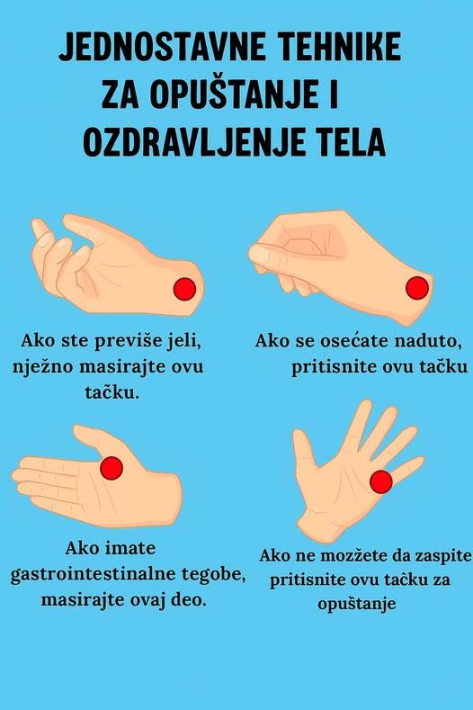 Kako i kada orezati božićni kaktus - featured image Kako i kada orezati božićni kaktus - featured image