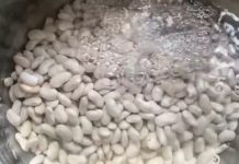 OVO MALO KO ZNA Kad vidite koliko voda od pasulja pomaže više je nećete bacati OVO MALO KO ZNA Kad vidite koliko voda od pasulja pomaže više je nećete bacati - featured image