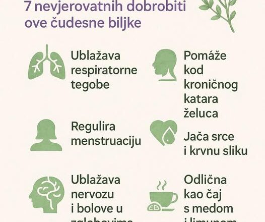 Recipes-Advices - featured image Recipes-Advices - featured image